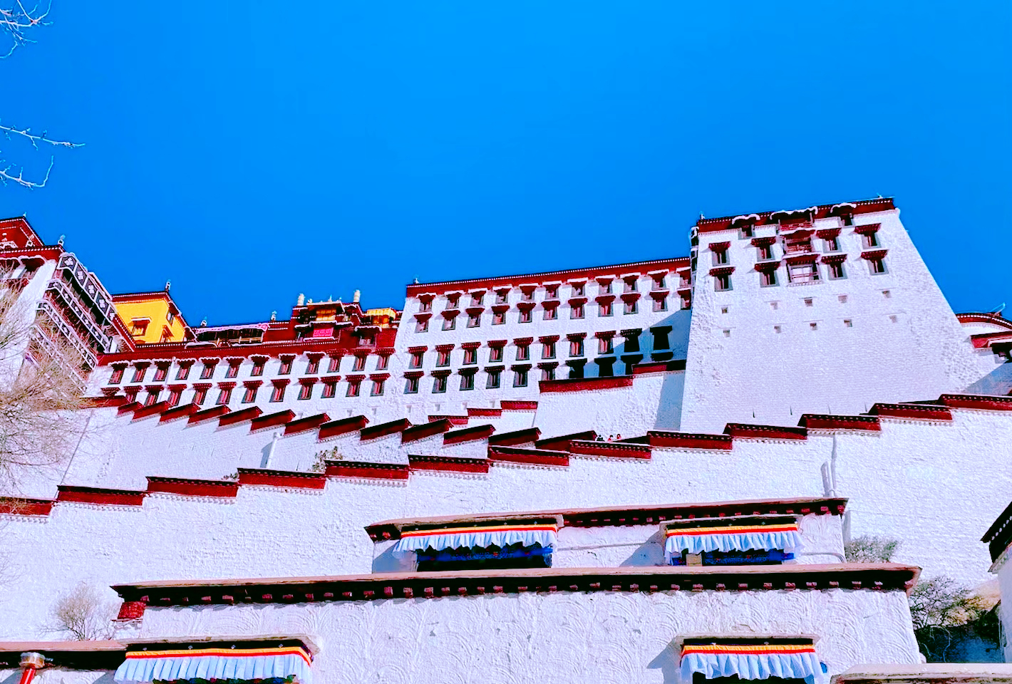 布达拉宫厕所,300年不清理为啥不臭?游客:拉完就被吹跑了