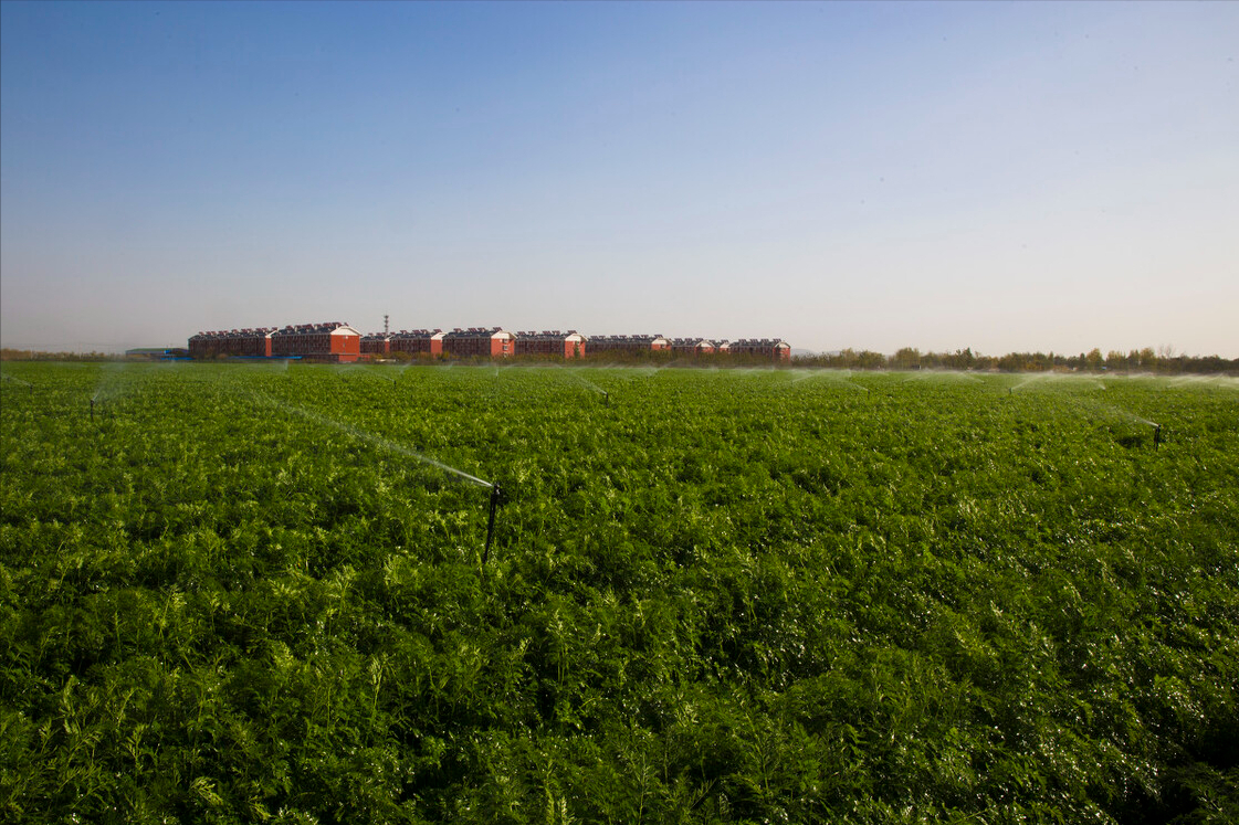 征收耕地过程中，土地承包、经营权人之间怎样分配补偿利益？