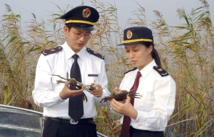 不想干就离职？公务员或将实行新规定，有些岗位不能随便撂挑子