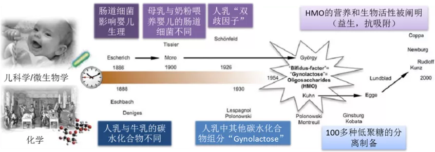 亿元市场里的新功能博弈:母乳低聚糖何日走向大众