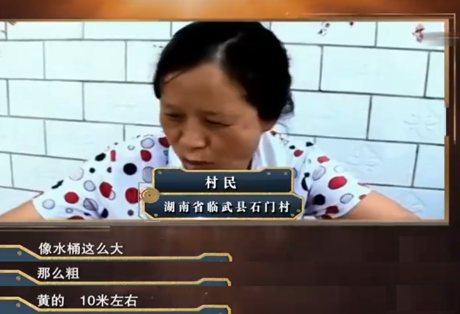 真龙洞中真的有龙吗？洞中景象去一探究竟