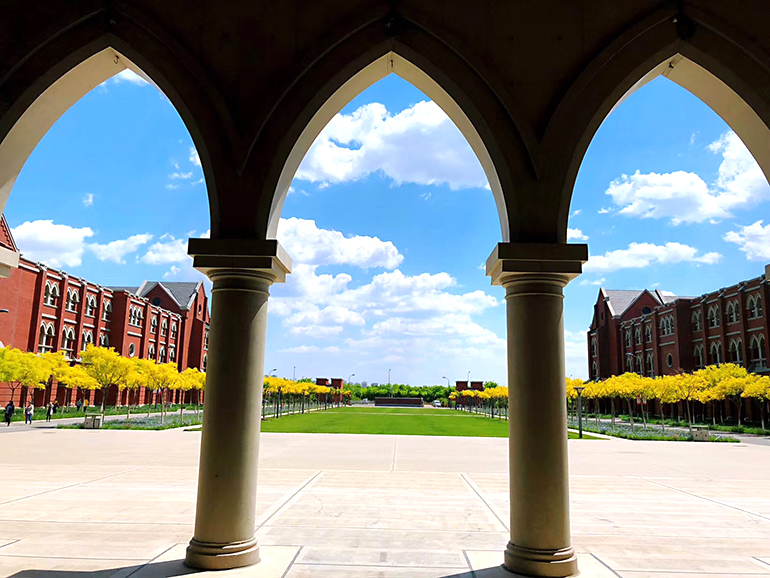 专科院校师资力量分析，深圳职业技术学院成标杆，60分以上占8.6%