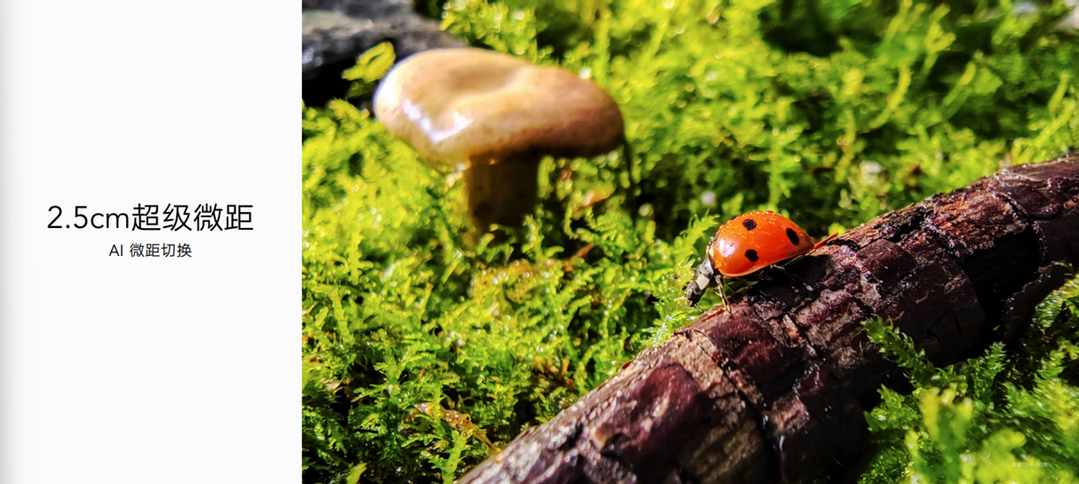 荣耀70系列惊艳发布，全面升级，内外兼修，值得期待