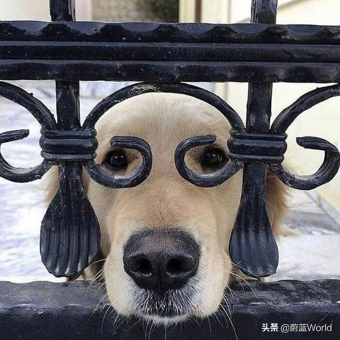 微信关于生活的说说配图「幽默」_qq说说网