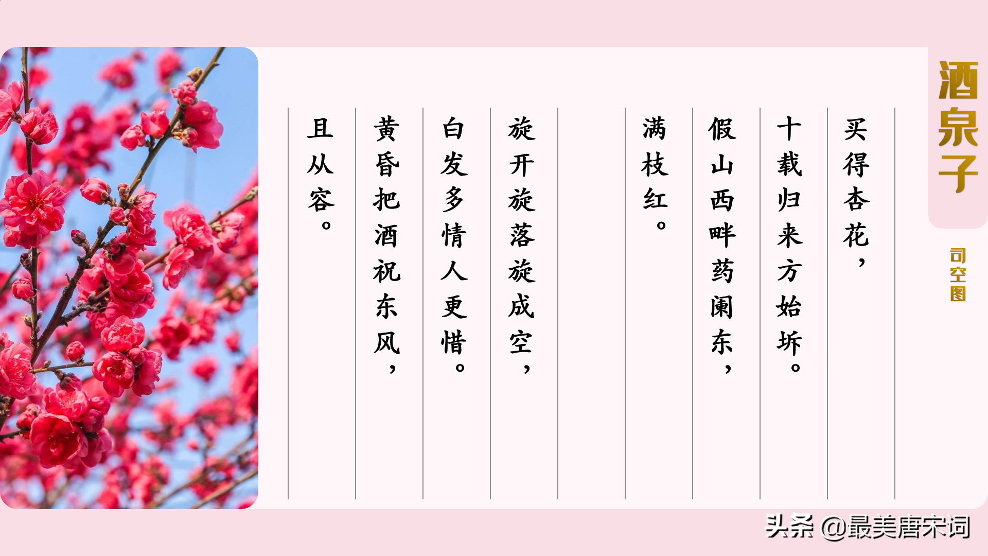 诗词里的春有百花 | 10首词感受10种花（唐五代部分，附深度解读）