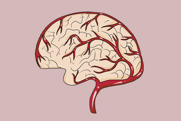 吃了大半年鱼油，血脂也没降多少！是什么原因，听医生说说