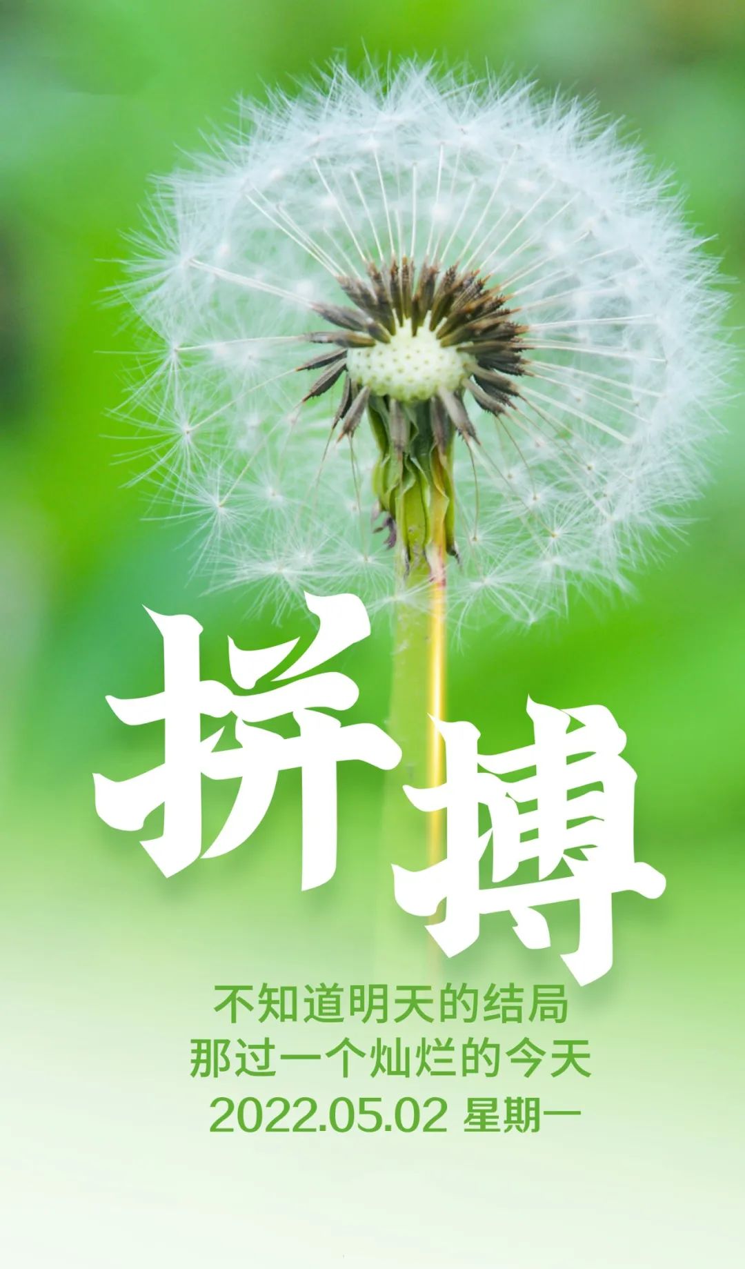 「2022.05.02」早安心语，正能量文案语录 奋斗不止早上好经典语录