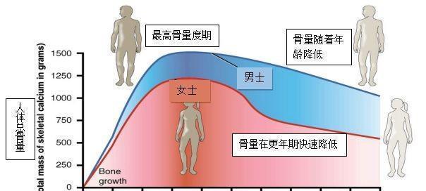走路快和走路慢的人，谁更长寿？研究发现：二者相差15年寿命