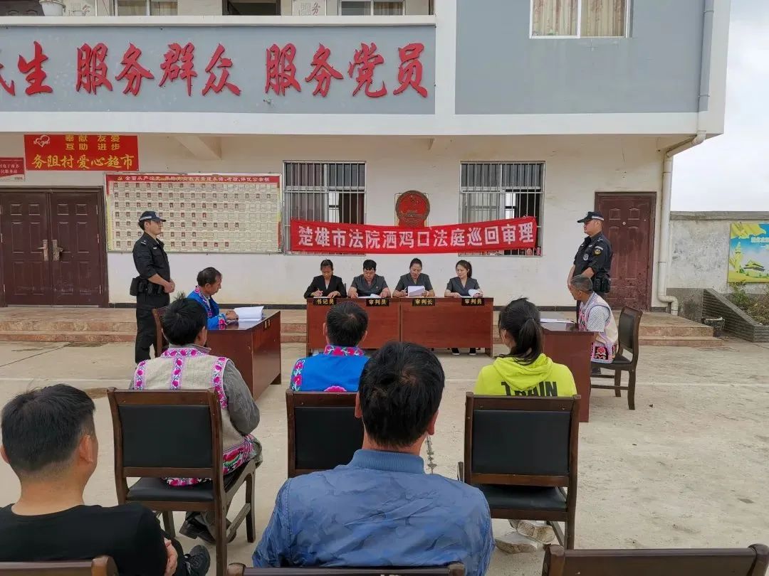 【新闻宣传走基层.他山之石】绽放的“马缨花” ——楚雄市法院洒鸡口法庭侧记