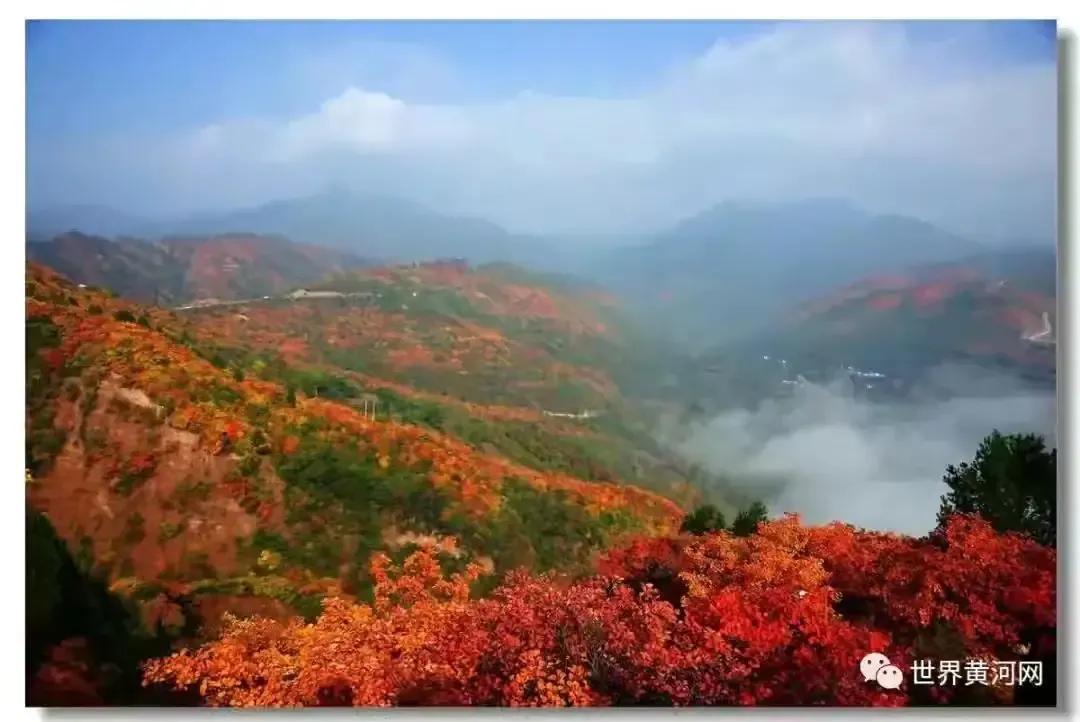 烟如柳诗词三十首（最新2021年12月）