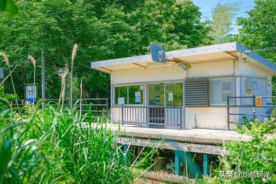 这些绝美的世界级英文名著句子，第一句就很惊艳，堪称写作金句