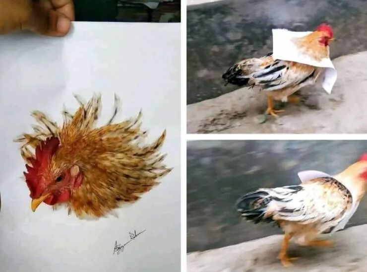 “黄晓明跟赵丽颖不是离婚了吗？”网友看傻：是离了，各离各的…