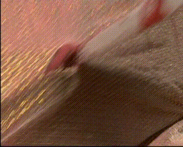 再看《乌龙闯情关》，童年里的欢乐和遗憾都在这里