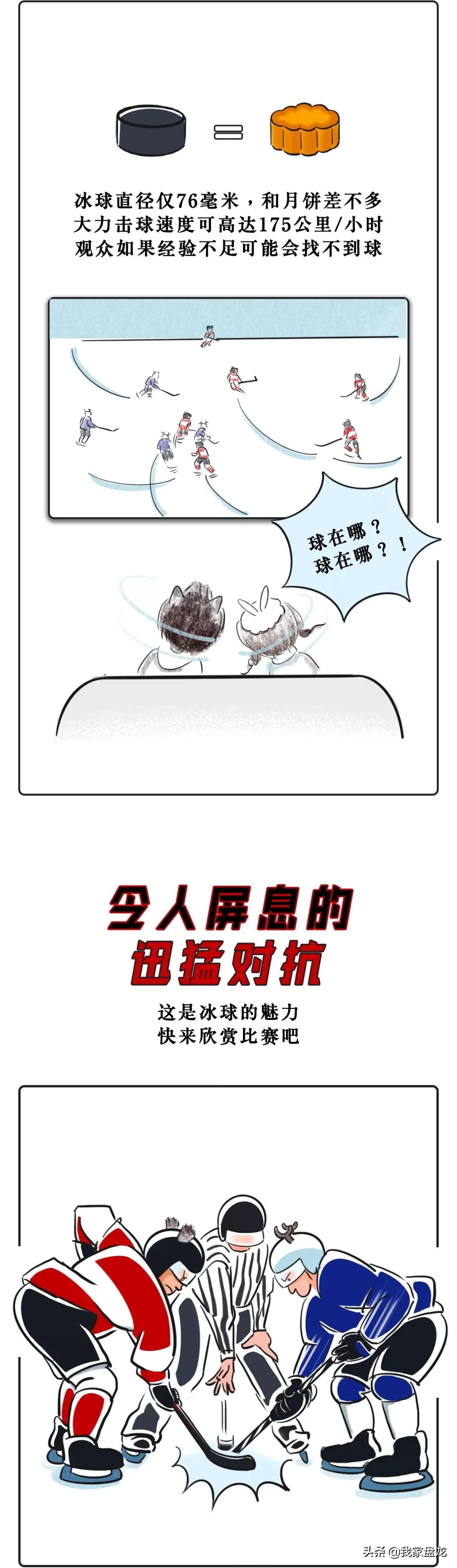 奥运会都有哪些项目的画法(一条漫画带你看懂北京冬奥会15个比赛项目！)