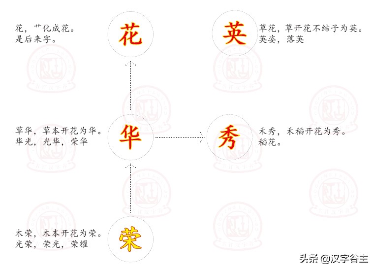 汉字植物：认知“花、华、荣、英、秀”之间汉字思维关系