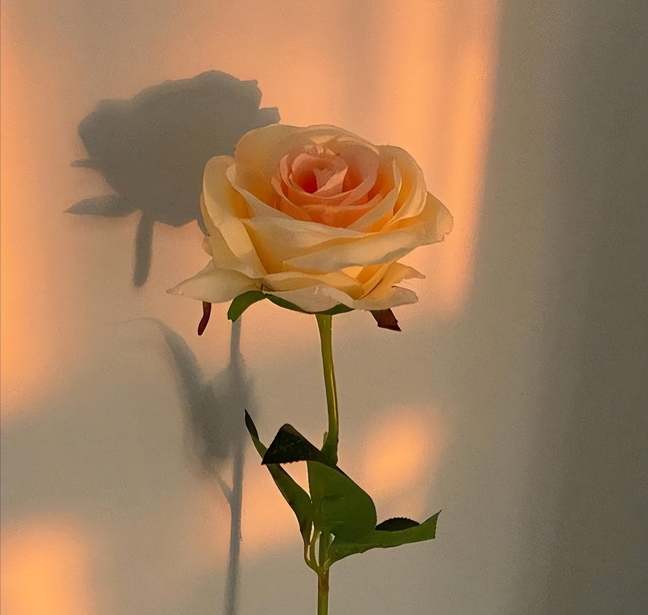 其实，男人越是深爱你，越不会“对你好”