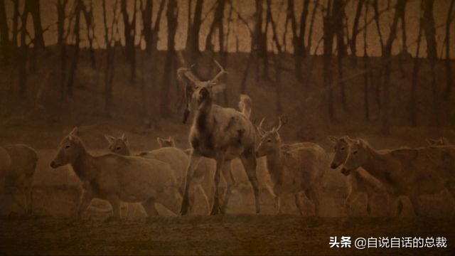 超能力真的存在吗(超级血液，器官再生、百毒不侵，这是人们认为它是仙兽真正的原因)