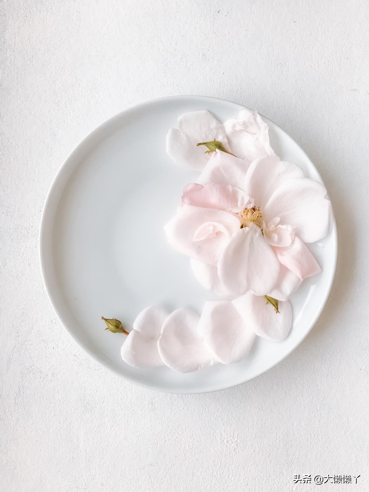 海南专升本-专业课财务会计学试题及答案