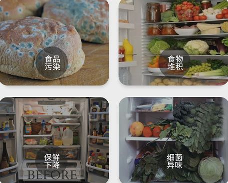 好百邻家政：冰箱是家里第二脏的地方，细菌比马桶还多