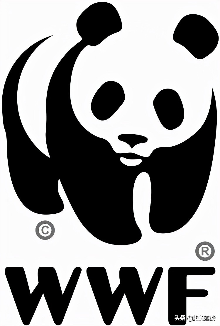 大熊猫有哪些生活习性，为何喜欢吃竹子，如何促进中外友好交往