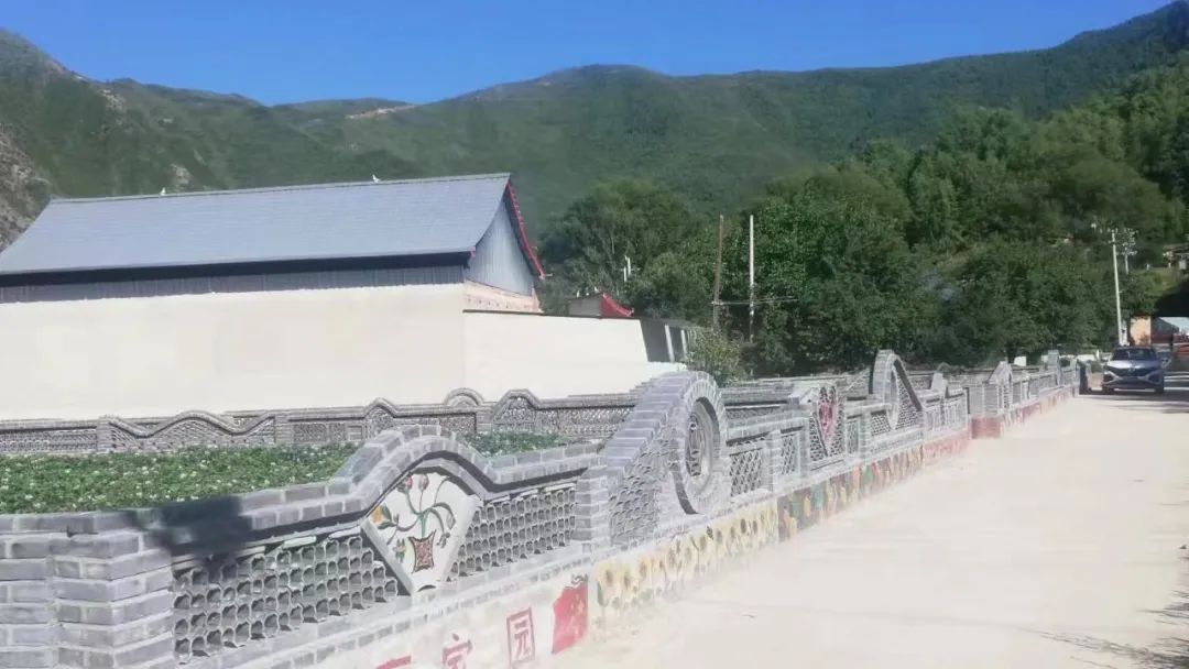 临潭：党建引领促发展 乡村“蝶变”换新颜