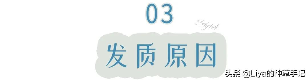 为什么女生每年年底总要烫一次头发?