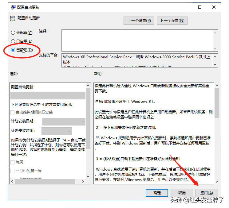 一键彻底关闭windows10和Win11自动更新