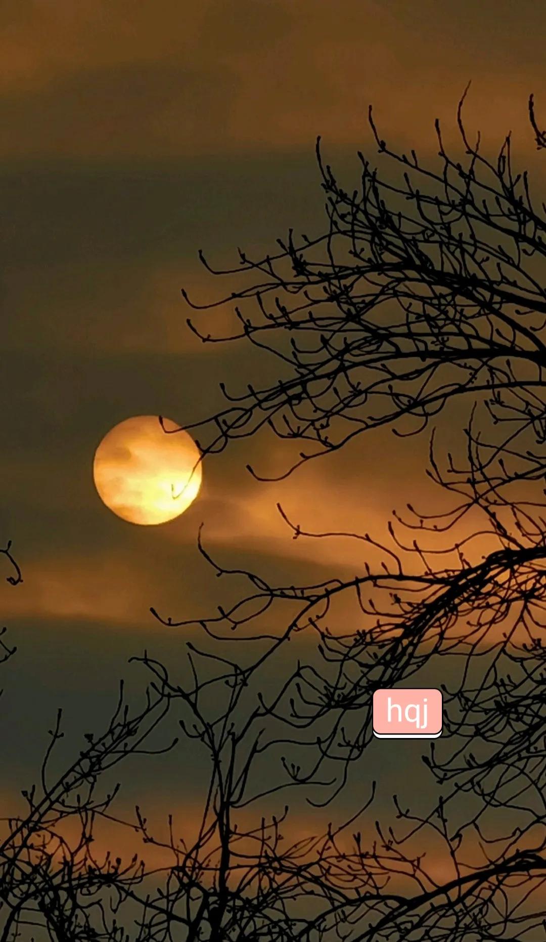 一对情侣，在夕阳下的对话