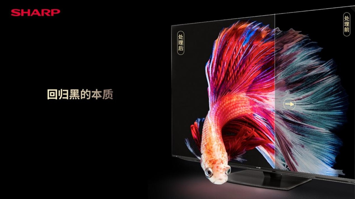 《光影新视界览尽世间美 夏普AQUOS XLED新品4K旗舰电视发布》