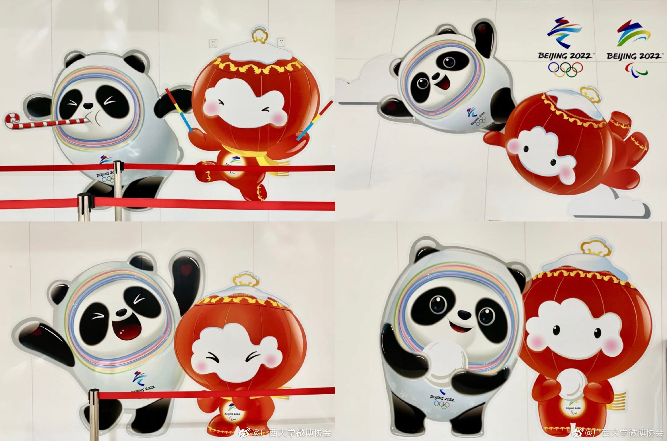 日本记者是他最大粉丝？冬奥吉祥物冰墩墩成功出圈，实在太可爱了