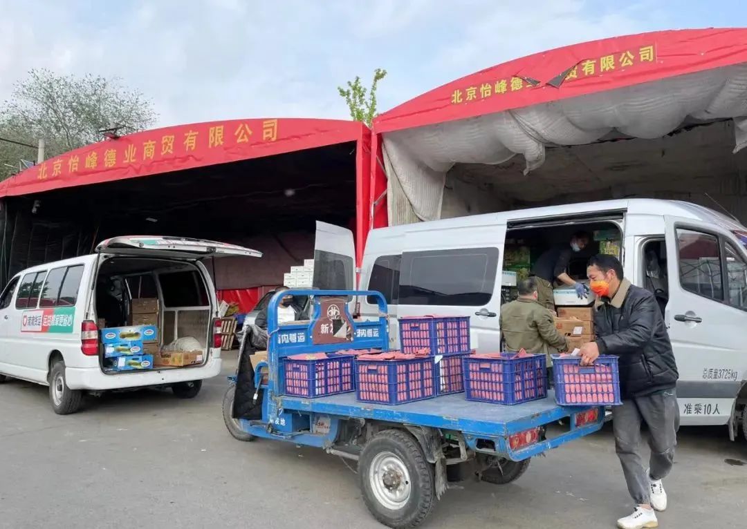 新发地市场甜瓜大王——吴晓峰