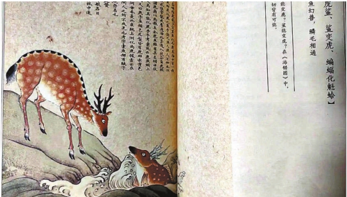 王寒:海蜇水多,阎王鬼多