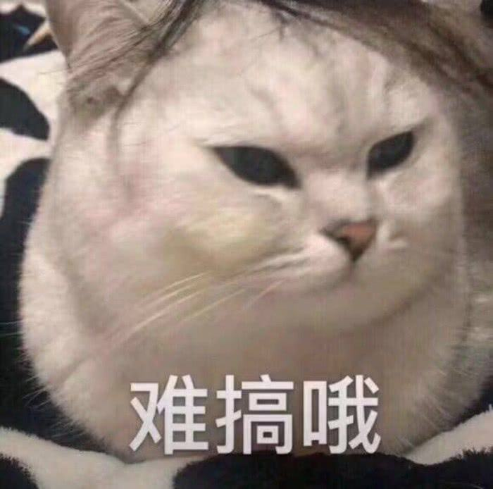 3+证书高职高考院校奇葩校规，有些真的难顶