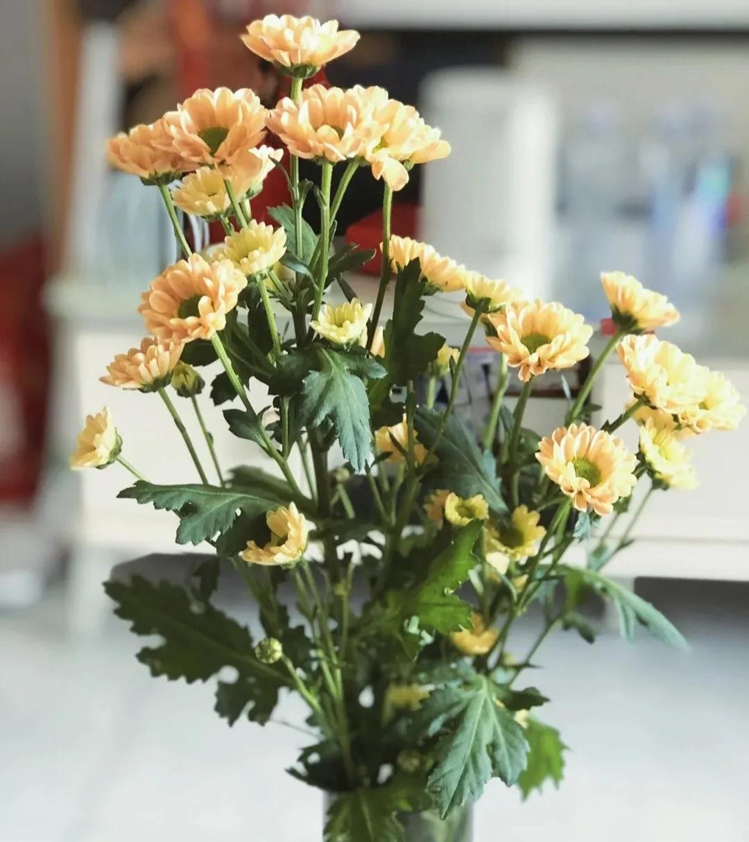 夫妻之间：最舒服的关系有这3种