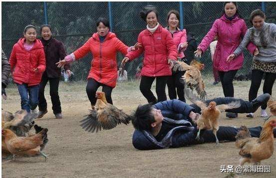 过年想好去哪玩了没，湖北周边春节必去景点