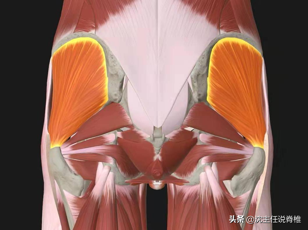 腰臀或下肢痛，是腰肌劳损、腰突症吗？不一定，还有这些原因