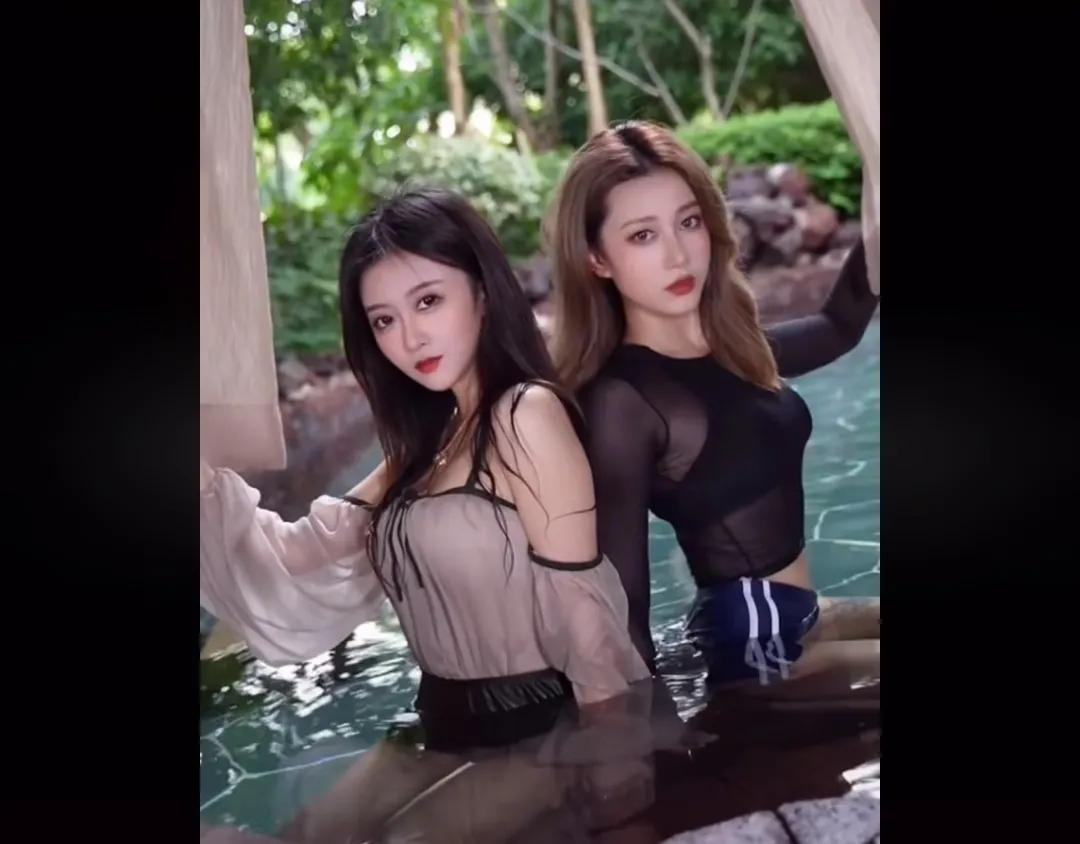 爆笑神评论：按照今年的菜价，这朵花不便宜吧！哈哈哈
