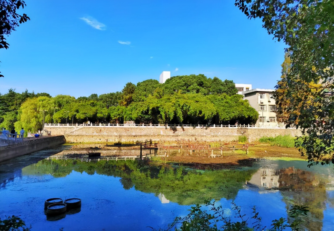 湖北超强学霸：丧失嗅觉，“逆袭”全班第一，斩获美国竞赛大奖