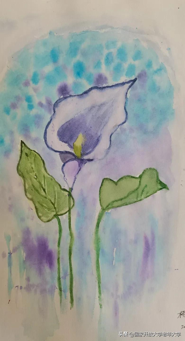 在校园·良作 | 水彩让我们的青春重新绽放——水彩画初级班学员作品