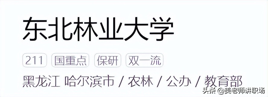 万字点评：全国31省市各排名前五共155所高校