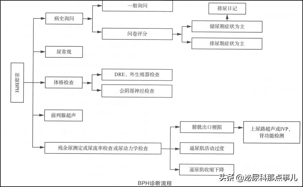 良性前列腺增生如何诊断和治疗?新的指南这么说