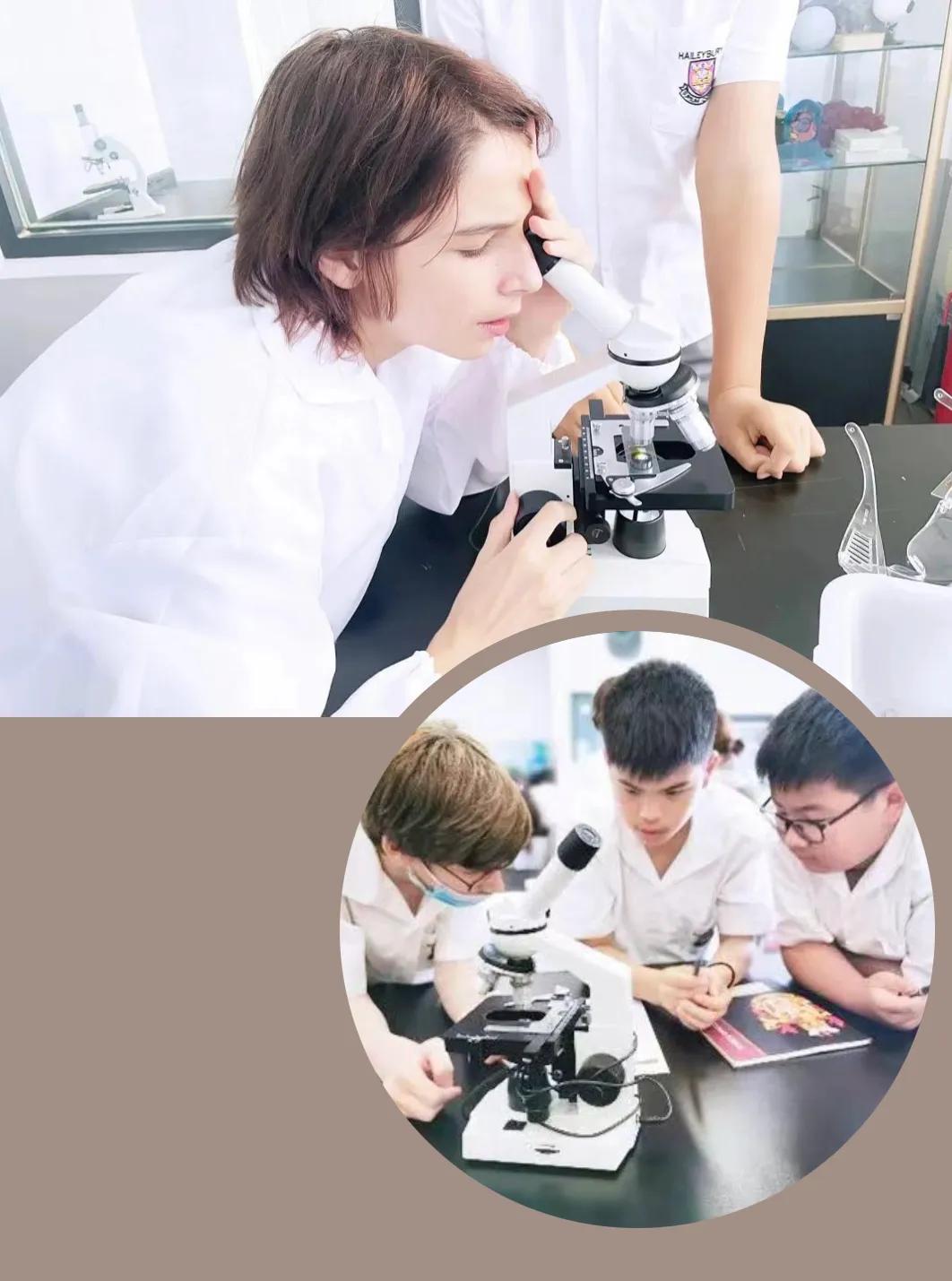 黑利伯瑞国际学校致小学初中部家长的一封信