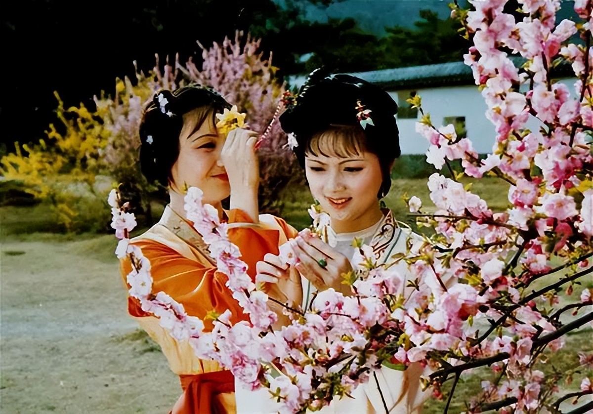 33位老牌簪花美人！林妹妹第一，林芳兵艳绝，你最偏爱谁呢？