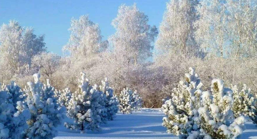 冬愈暮 年愈近，十二首冬暮的诗词，写尽了冬天的诗情画意