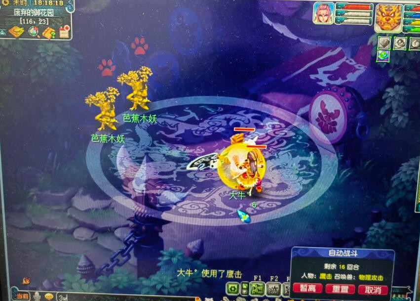 梦幻西游：五开速刷乌鸡国的技巧，五个角色分开战斗，30分结束