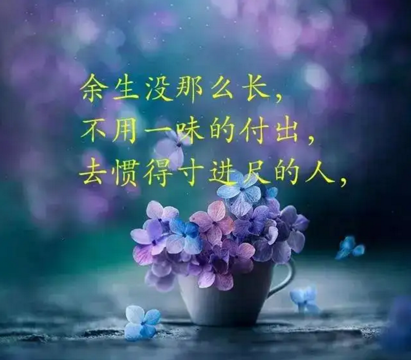 心灵鸡汤经典语录