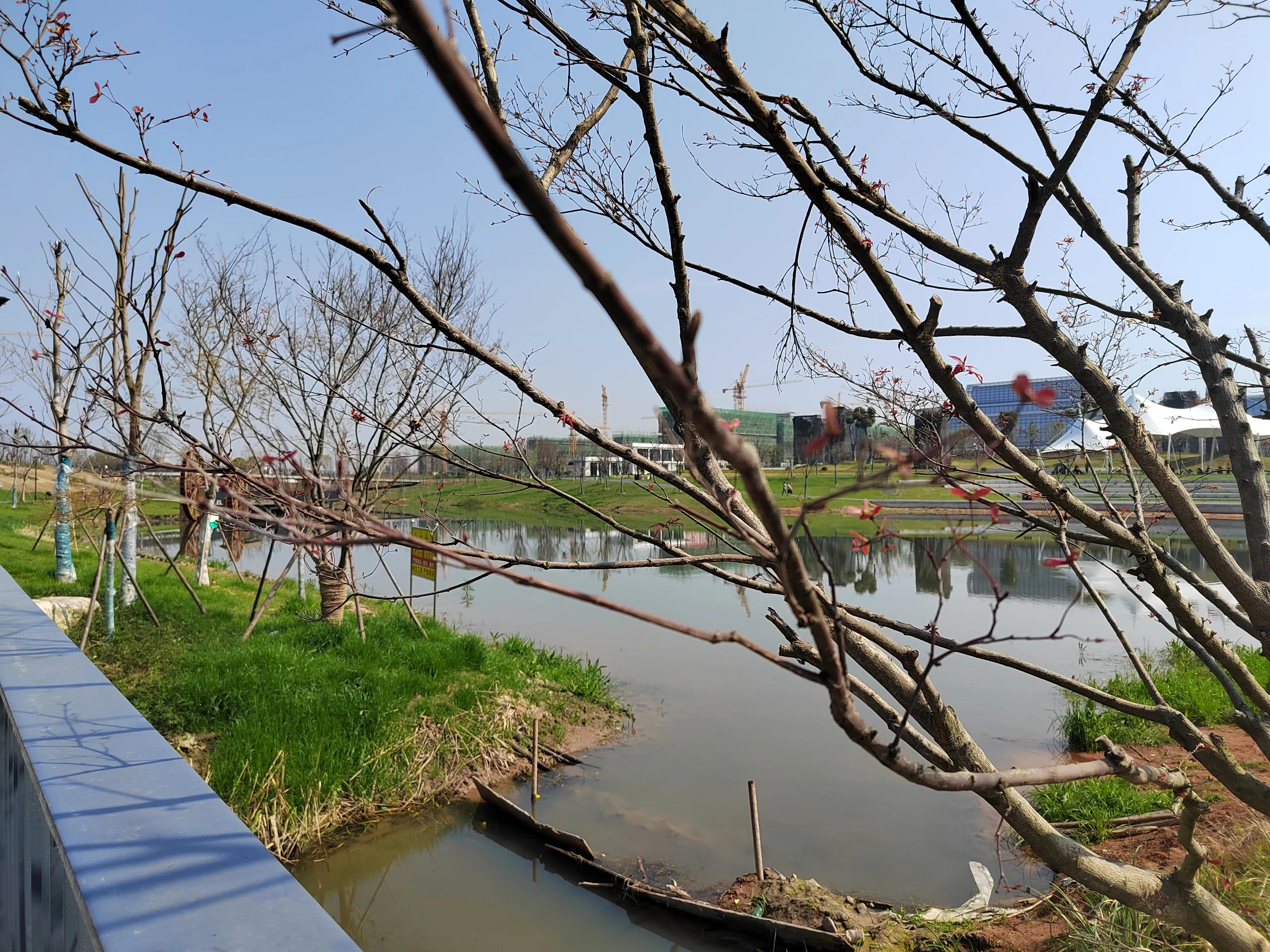 奉新东湖公园：家门口的公园，典籍里的水车，文艺气息浓郁