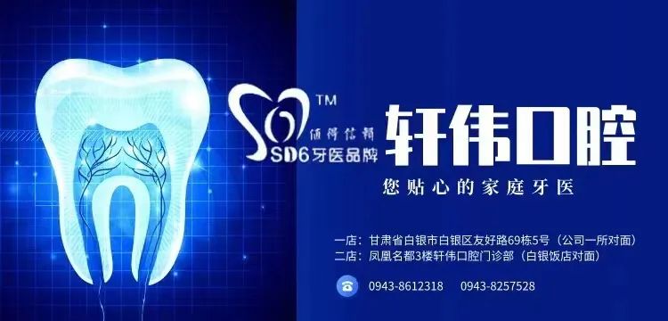 区领导调研新能源充电站（桩）项目建设情况