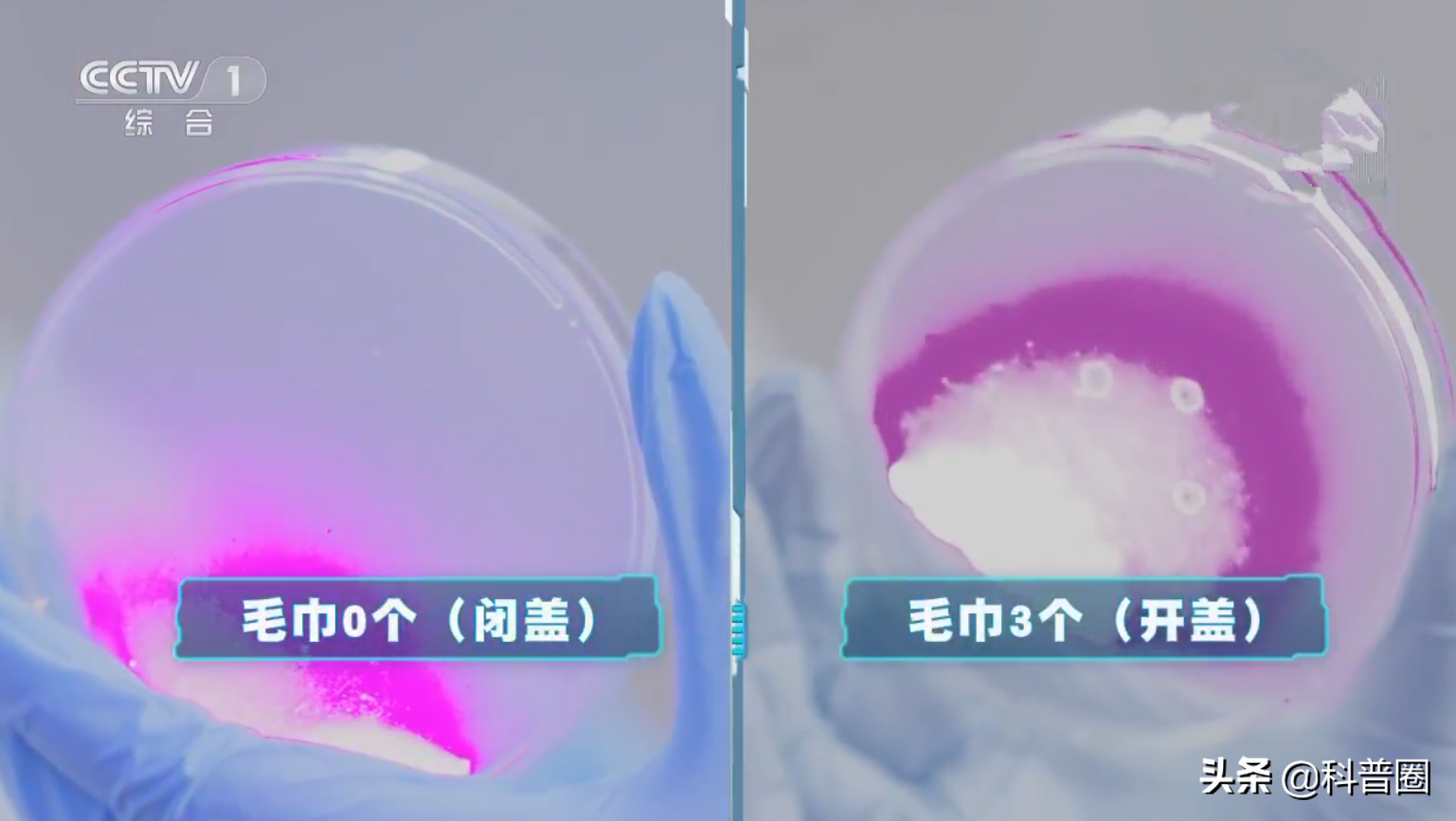 沖馬桶，蓋？還是不蓋？別糾結了，央視的一個實驗告訴你真相