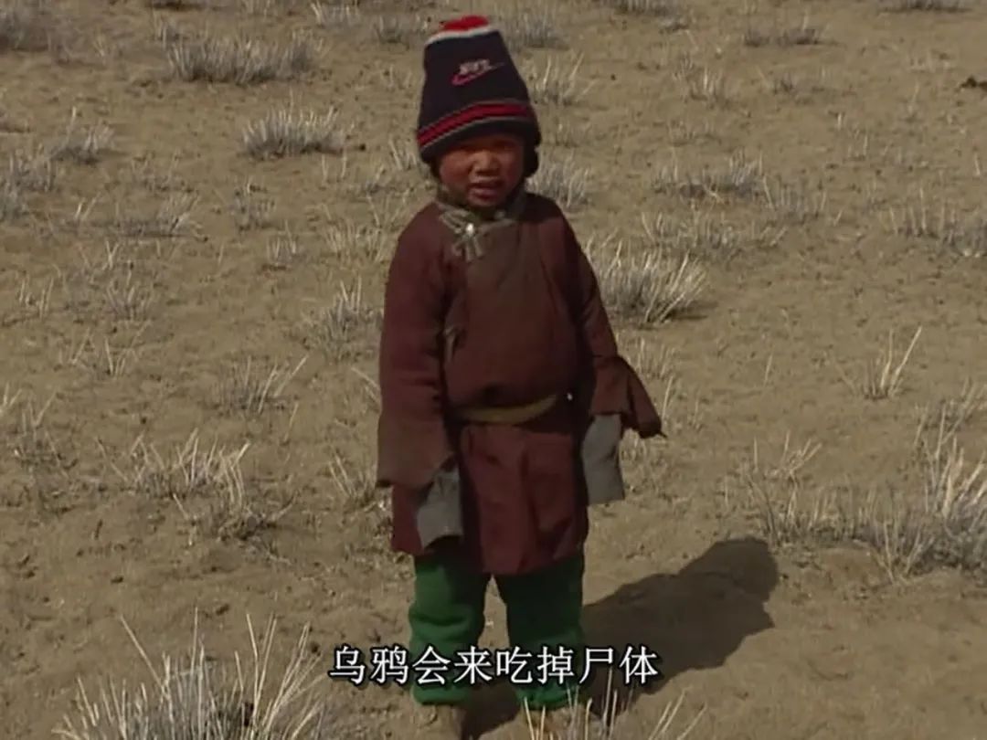 豆瓣9.7分，她的12年人生比《活着》还难，看完哭着打出5星